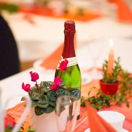 Daire Gaestehaus Rose Durrrohrsdorf