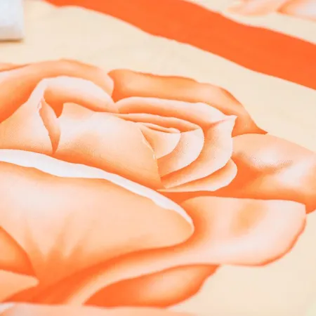 Daire Gaestehaus Rose *