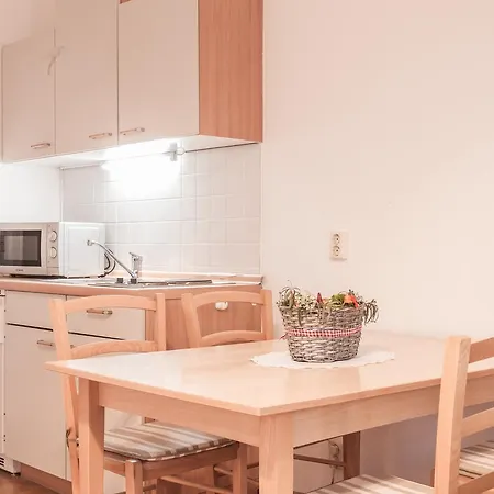 Daire Gaestehaus Rose Durrrohrsdorf