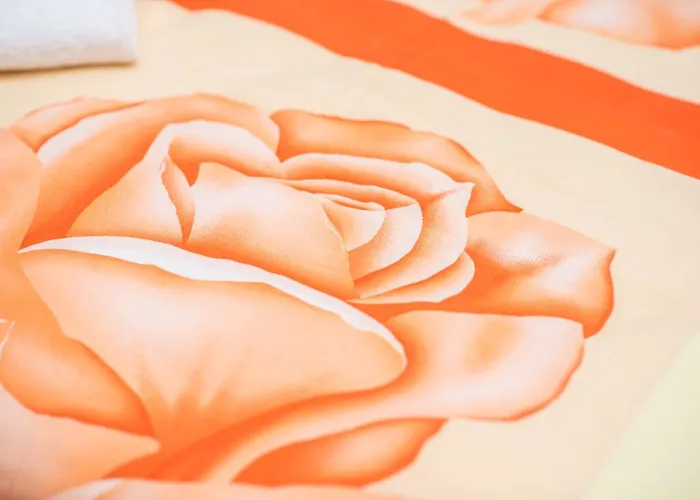 Apartment Gaestehaus Rose *